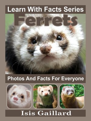 cover image of Ferrets Photos and Facts for Everyone